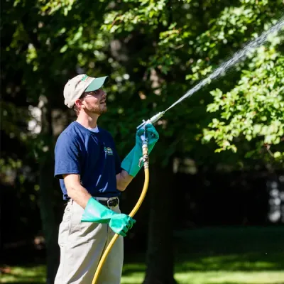 Dial Environmental technician spraying trees