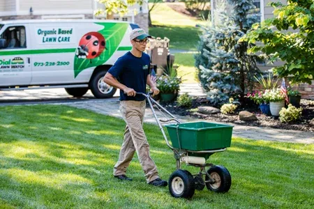 lawn care